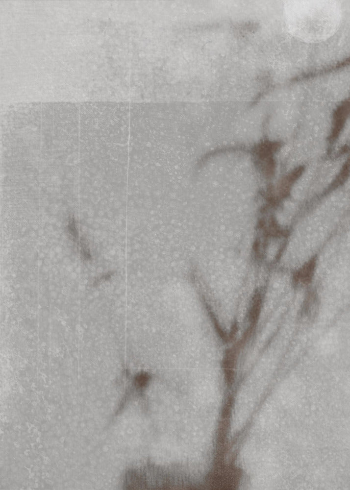 Kasvitieteellinen siluetti | Canvastaulut