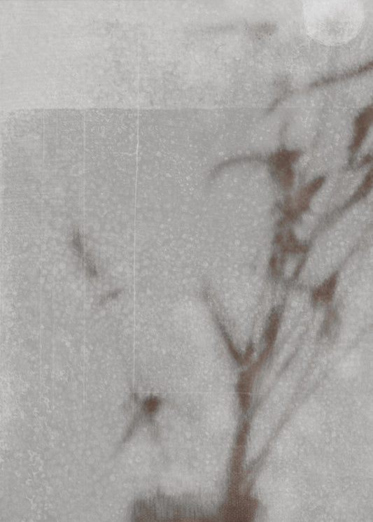 Kasvitieteellinen siluetti | Canvastaulut