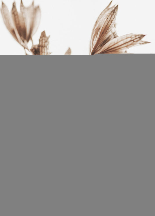 Golden Pant | Poster