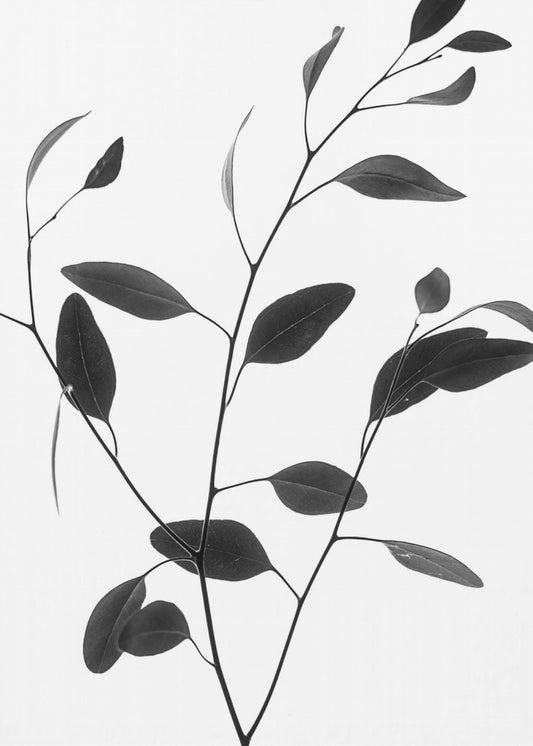 Delicate Branch | Canvas