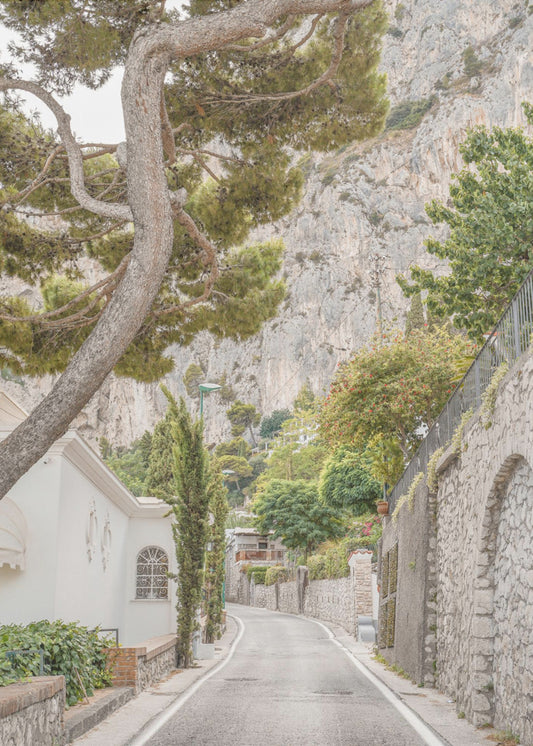 Straßen von Capri | Leinwand