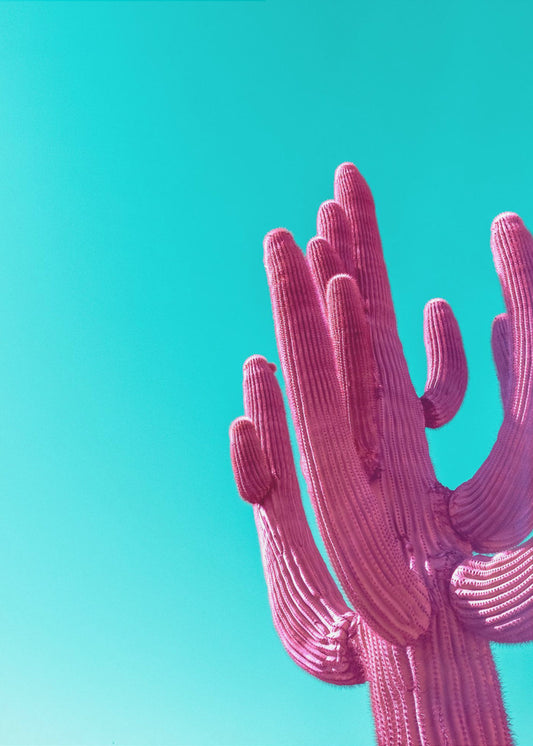 Magentanvaaleanpunainen Saguaro | Canvastaulut