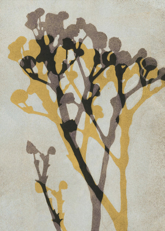 Echos von Gypsophila | Poster