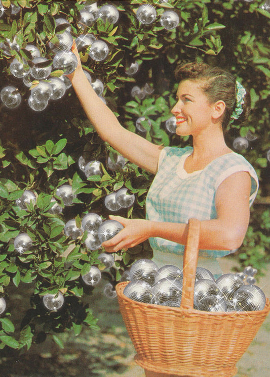 Disco Grove | Canvas