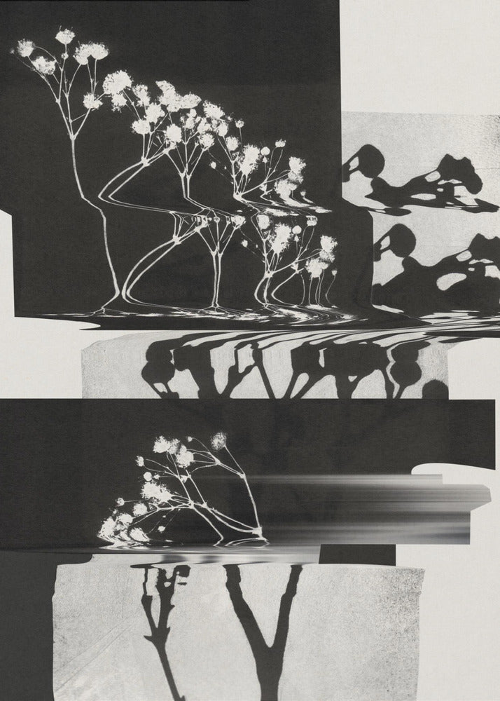 Nature Morte #1 | Poster