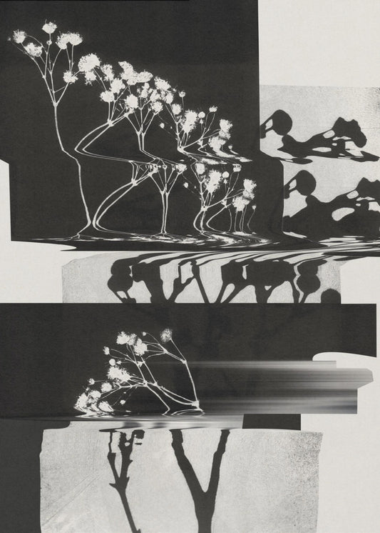 Nature Morte #1 | Poster