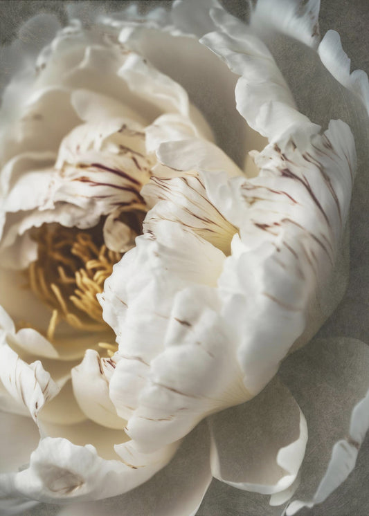 Nostalgicnatureno20 | Poster