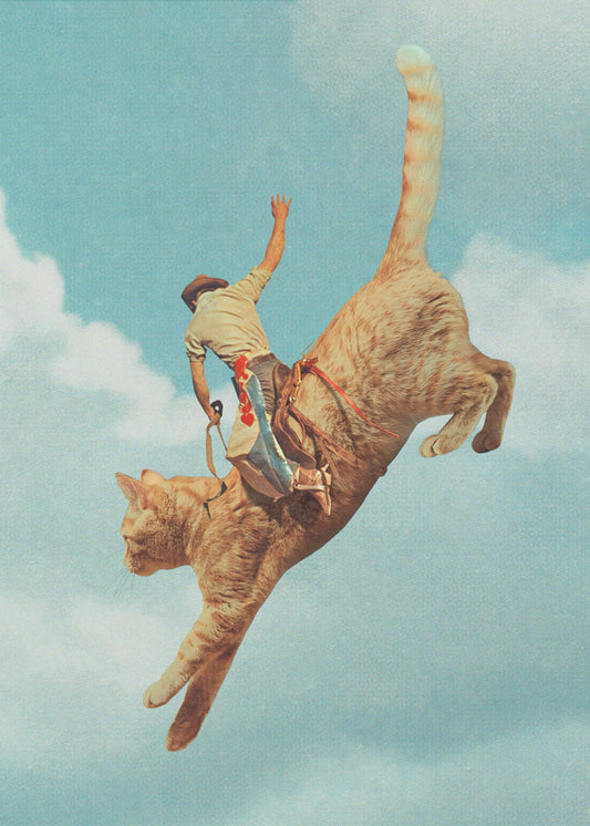 Meehaw Rodio Kot | Wydruki na łótnie