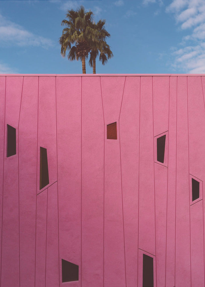 Palm Springs Vibes III | Wydruki na łótnie