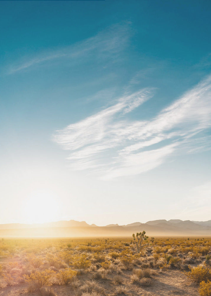 Wschód słońca na pustyni Nevada | Wydruki na łótnie