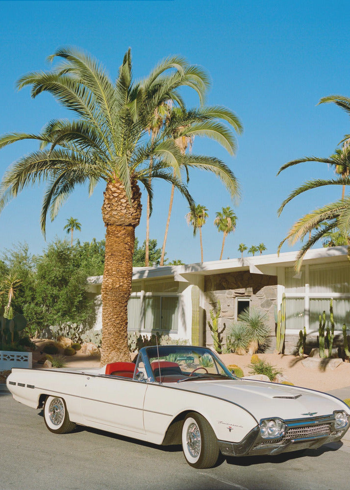 Palm Springs Thunderbird | Wydruki na łótnie