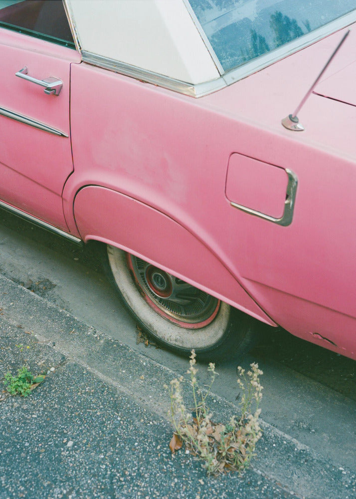 New Orleans Fahrt X | Leinwand-Bilder