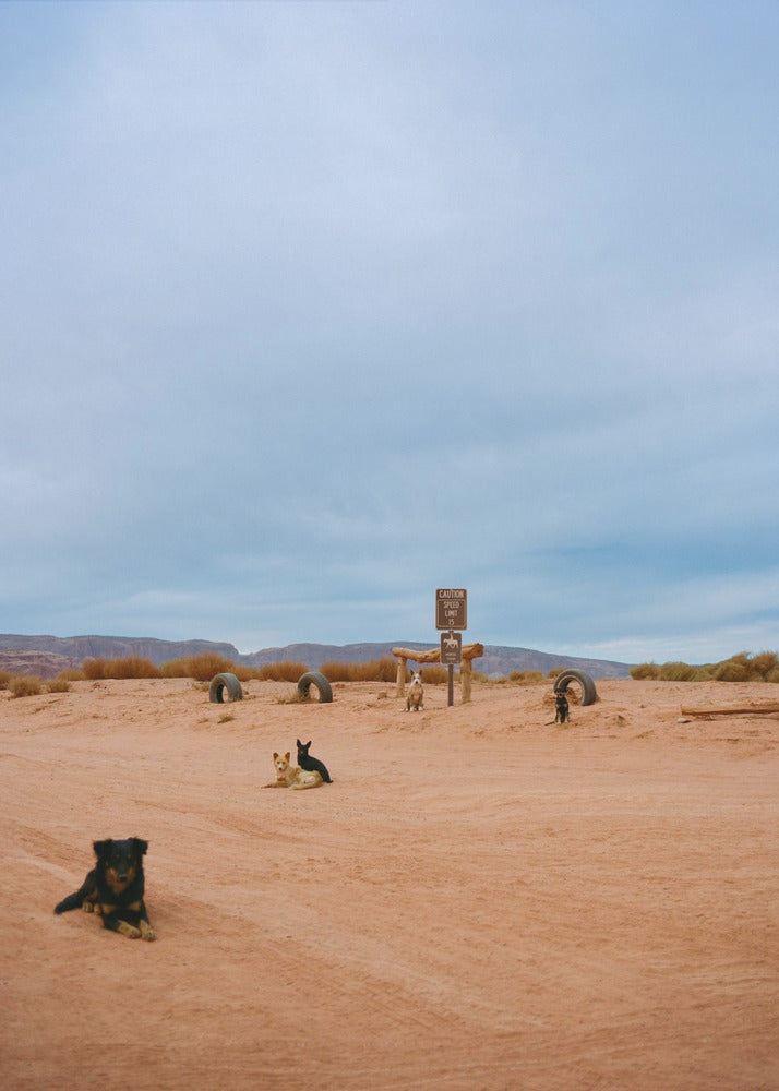 Monument Valley VIII | Canvastaulut