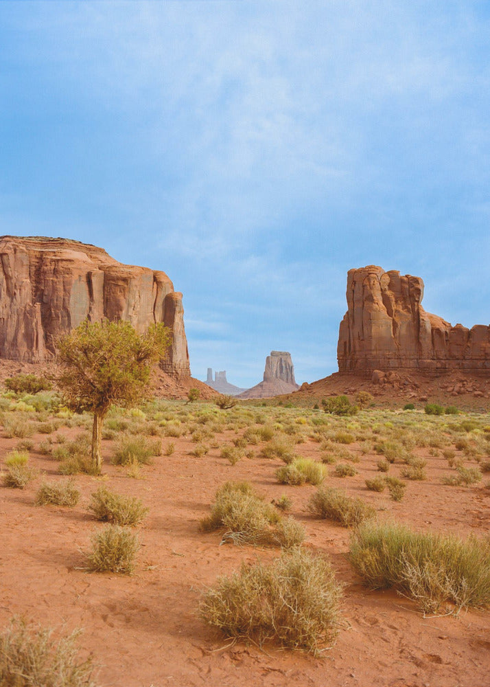 Dolina Pomników XII | Wydruki na łótnie