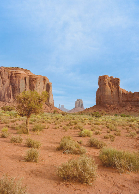 Dolina Pomników XII | Wydruki na łótnie