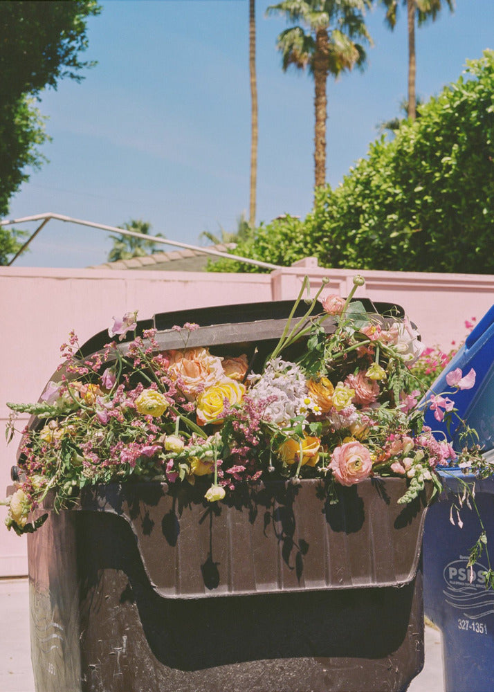 Palm Springs kantsten | Lærredsbilleder