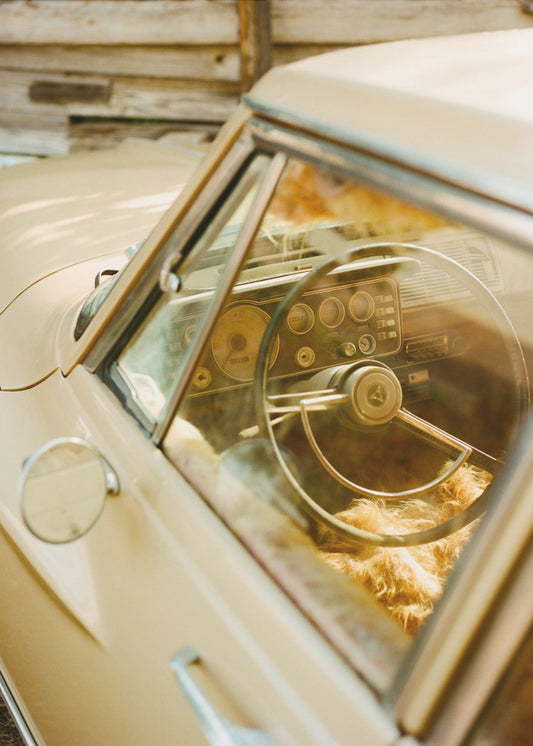 Wycieczka po Marfie | Wydruki na łótnie