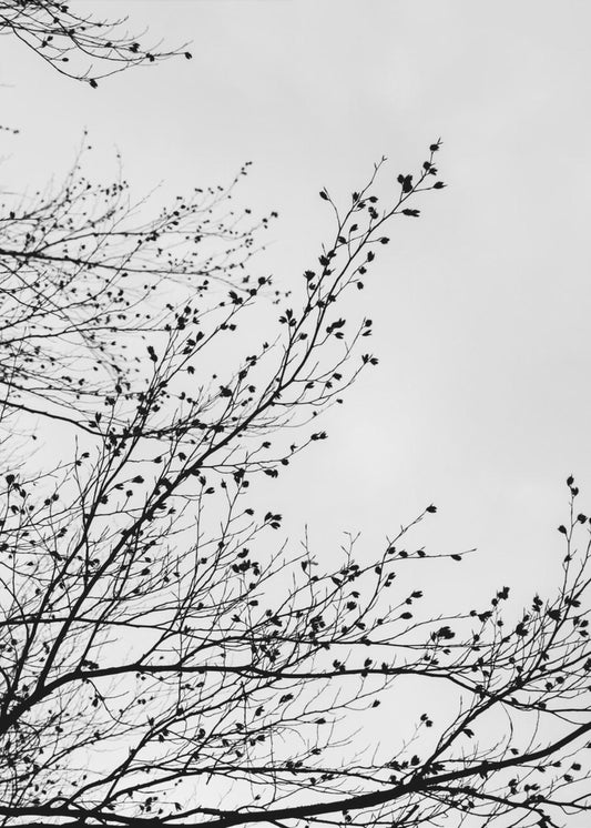 Winter Silhouettes 7 | Poster