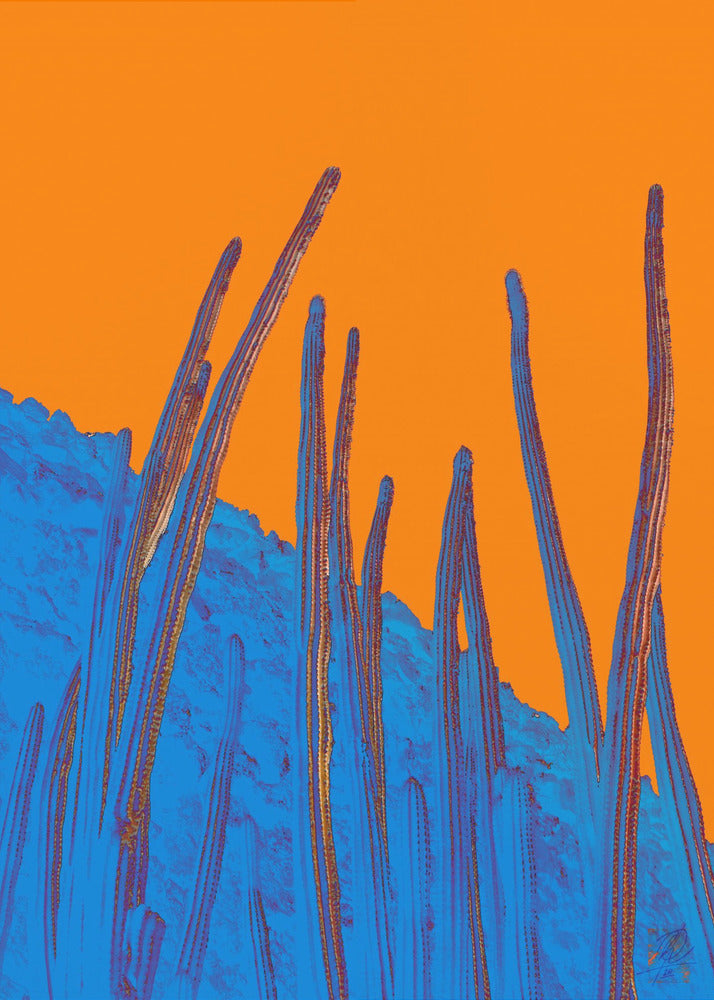 Antennen | Leinwand-Bilder