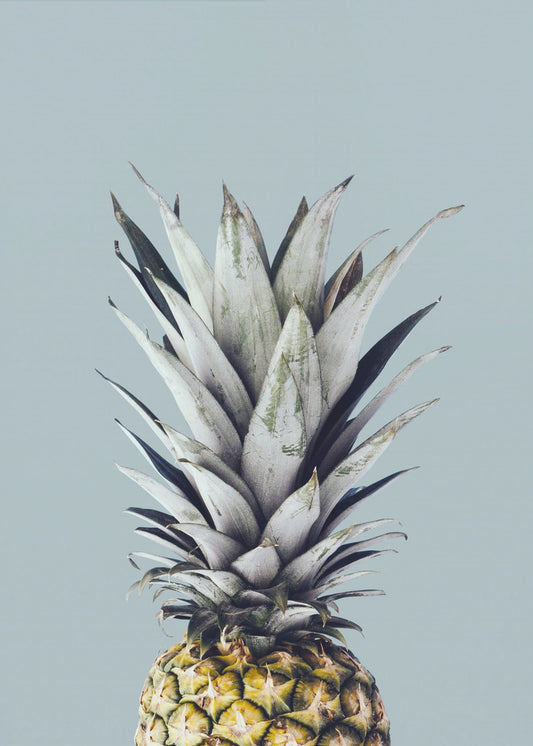 Ananas 1 | Poster