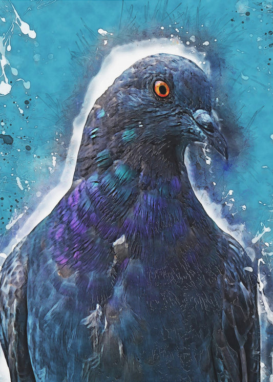 Tier Taube Vogel Aquarell Tierkunst | Poster