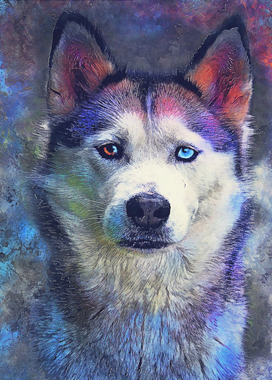 Tier Hund Husky Aquarell Tierkunst | Poster