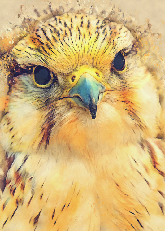Tierfalke Aquarell Tierkunst | Poster