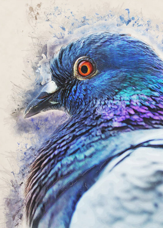 Tiere Vogel Taube Aquarell Tierkunst | Poster