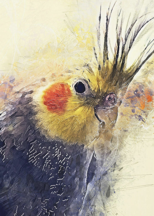 Tier Vogel Nymphensittich Aquarell Tierkunst | Poster