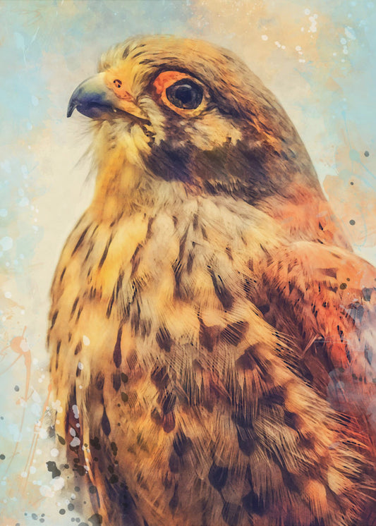 Tier Turmfalke Aquarell Tierkunst | Poster