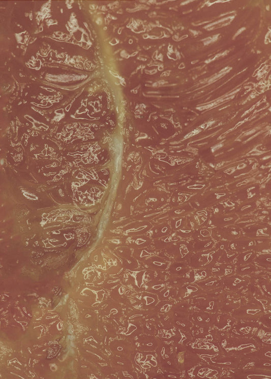 Zitrusmosaik | Poster