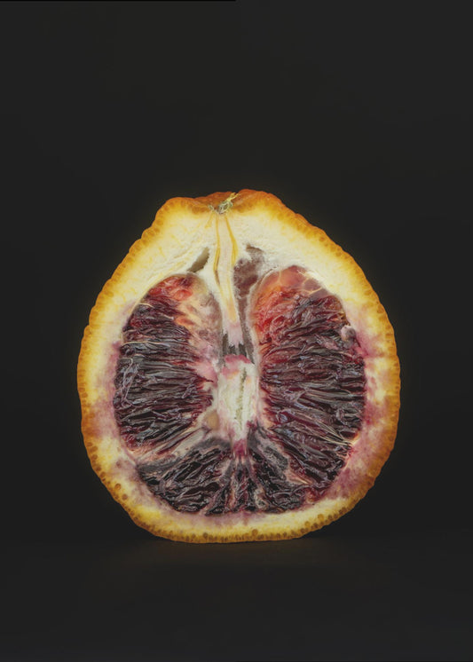 Purpurrote Scheibe | Poster