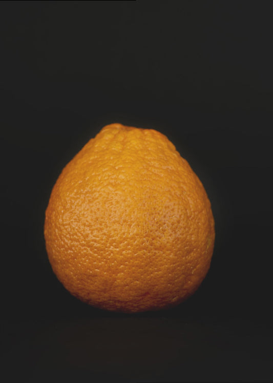 Goldene Kugel | Poster