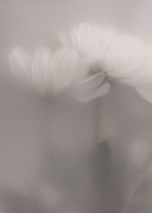 Blurred Flowers 3 | Poster