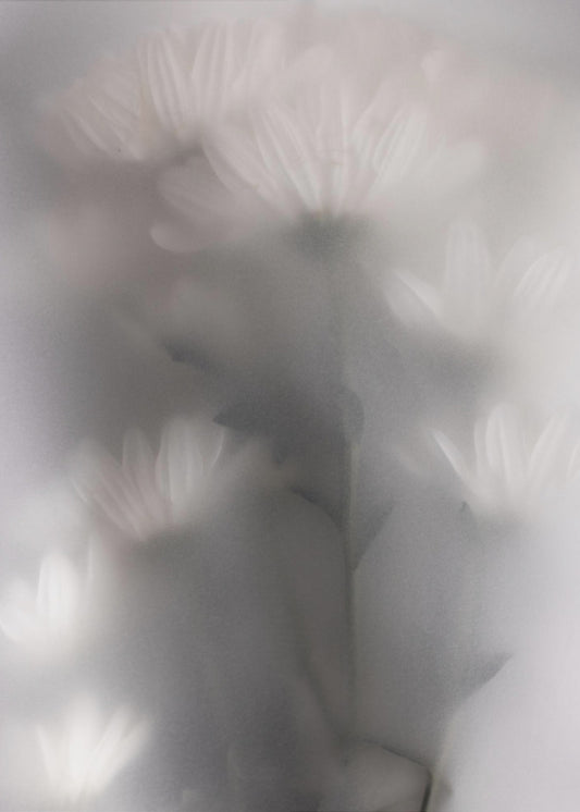 Blurred Flowers 4 | Poster