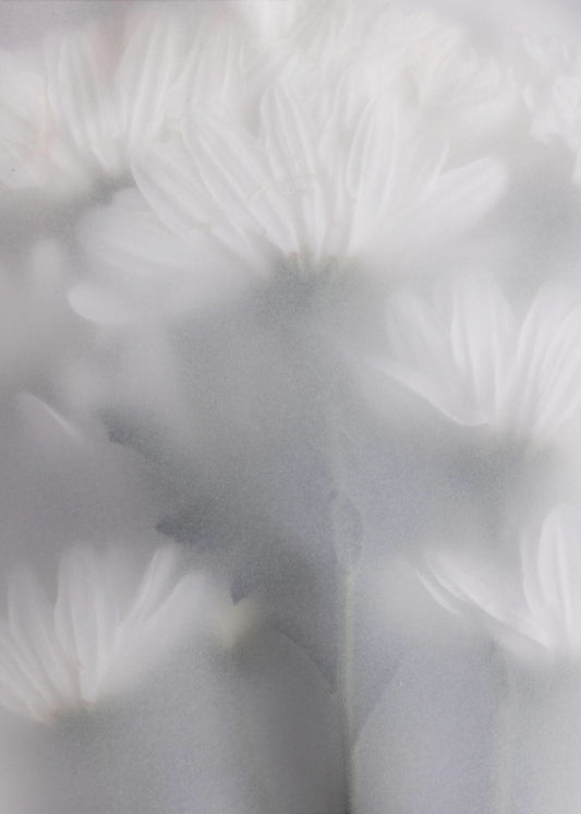 Blurred Flowers 6 | Poster