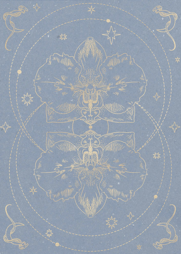 The mystical orchid | Poster