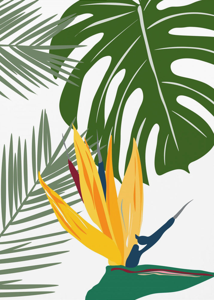 Monstera Y Palma | Poster