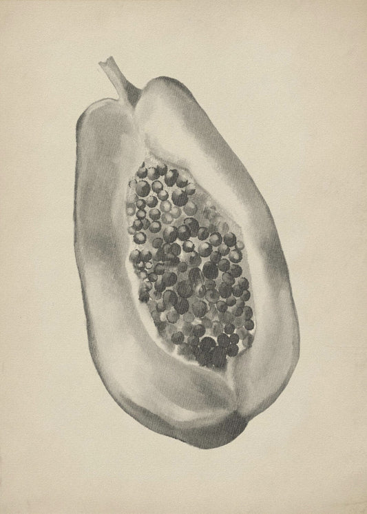 Botanische Illustration im Vintage-Stil | Poster