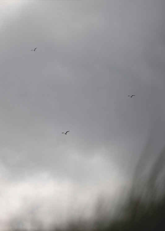 Birds and Clouds 2 | Poster