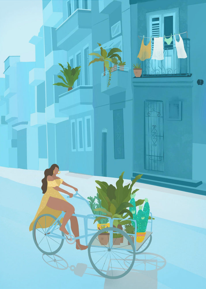Havana | Canvas