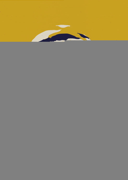 Expectant Iteration Momentum | Poster