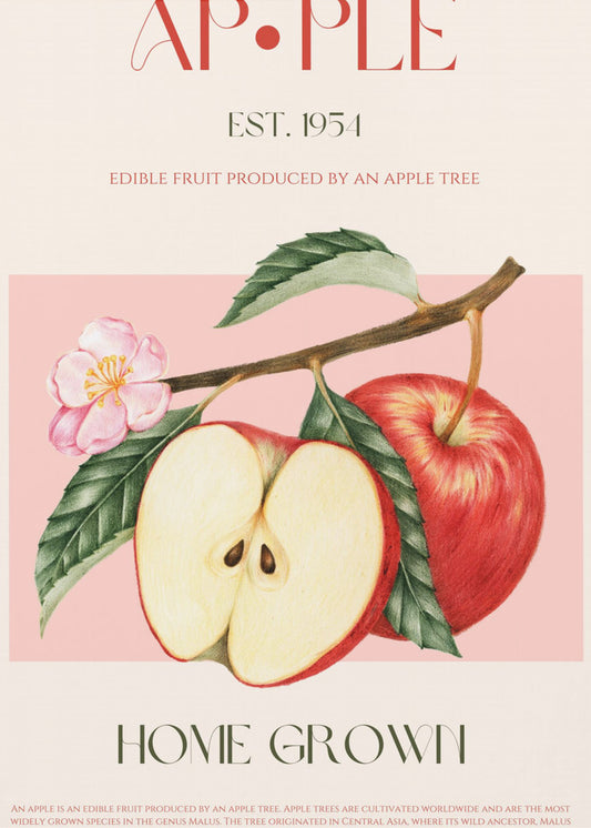 Geerntete Äpfel | Poster