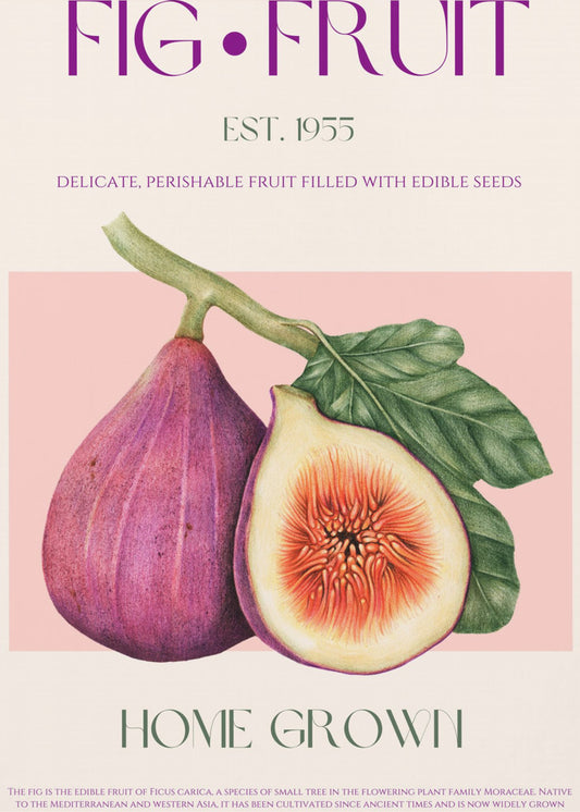 Vintage Feigengenuss | Poster