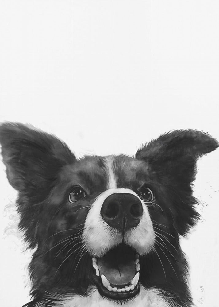 Sguardo canino gioioso | Stampe su Tela