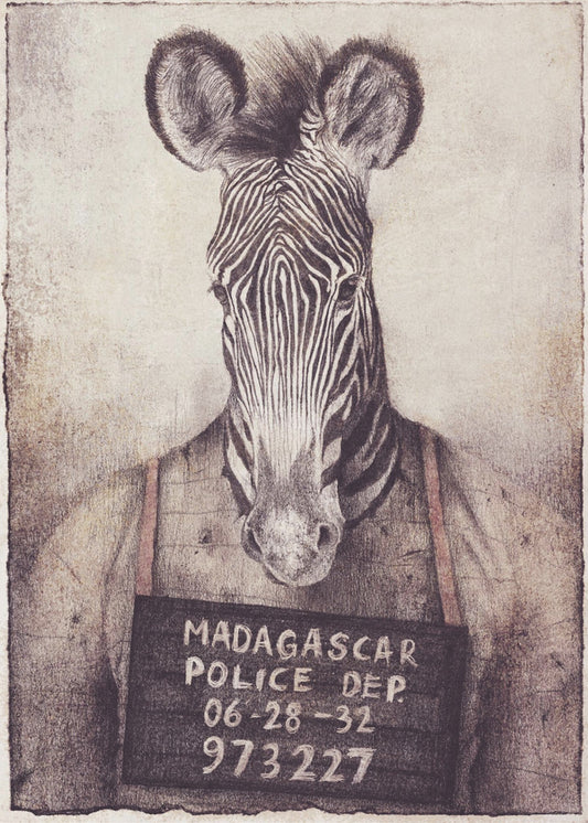 Zebra-Fahndungsfoto-Mysterium | Leinwand