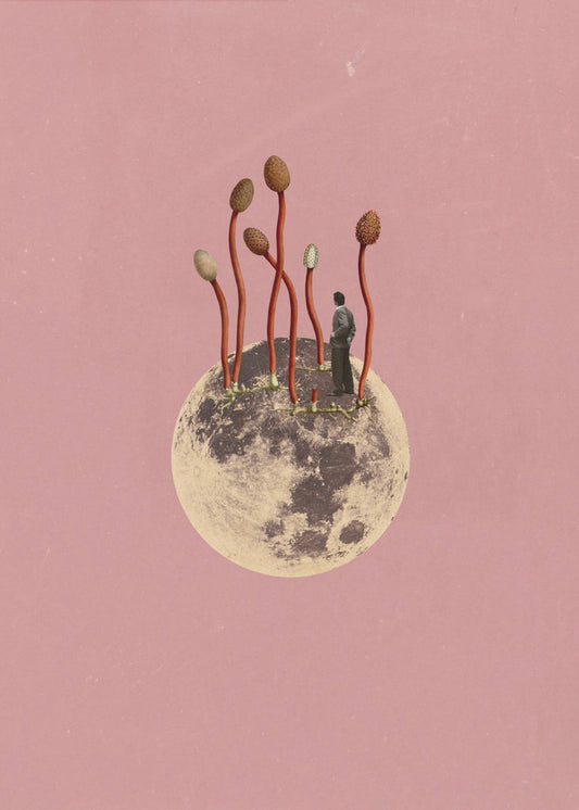 Mondwachstum | Leinwand