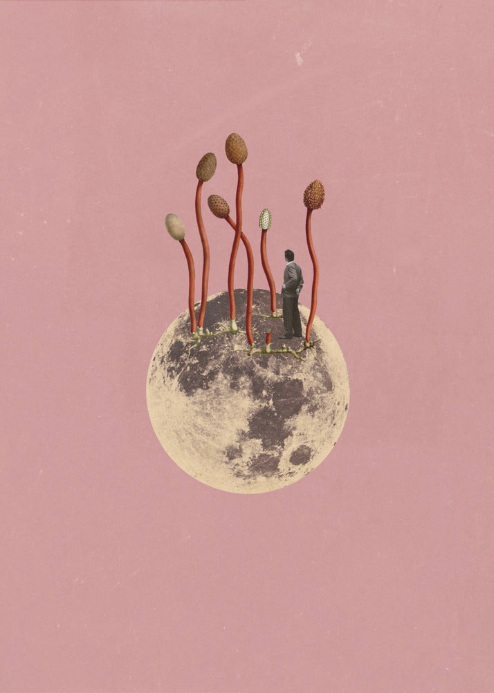 Mondwachstum | Leinwand