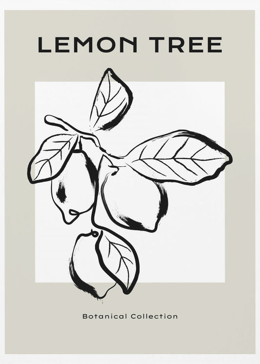 Citrus Elegance | Poster