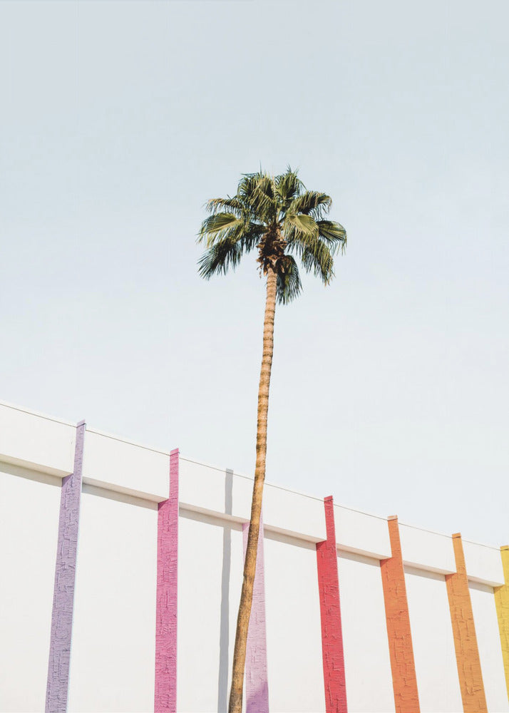 Palm Spring Colors 2 | Canvas